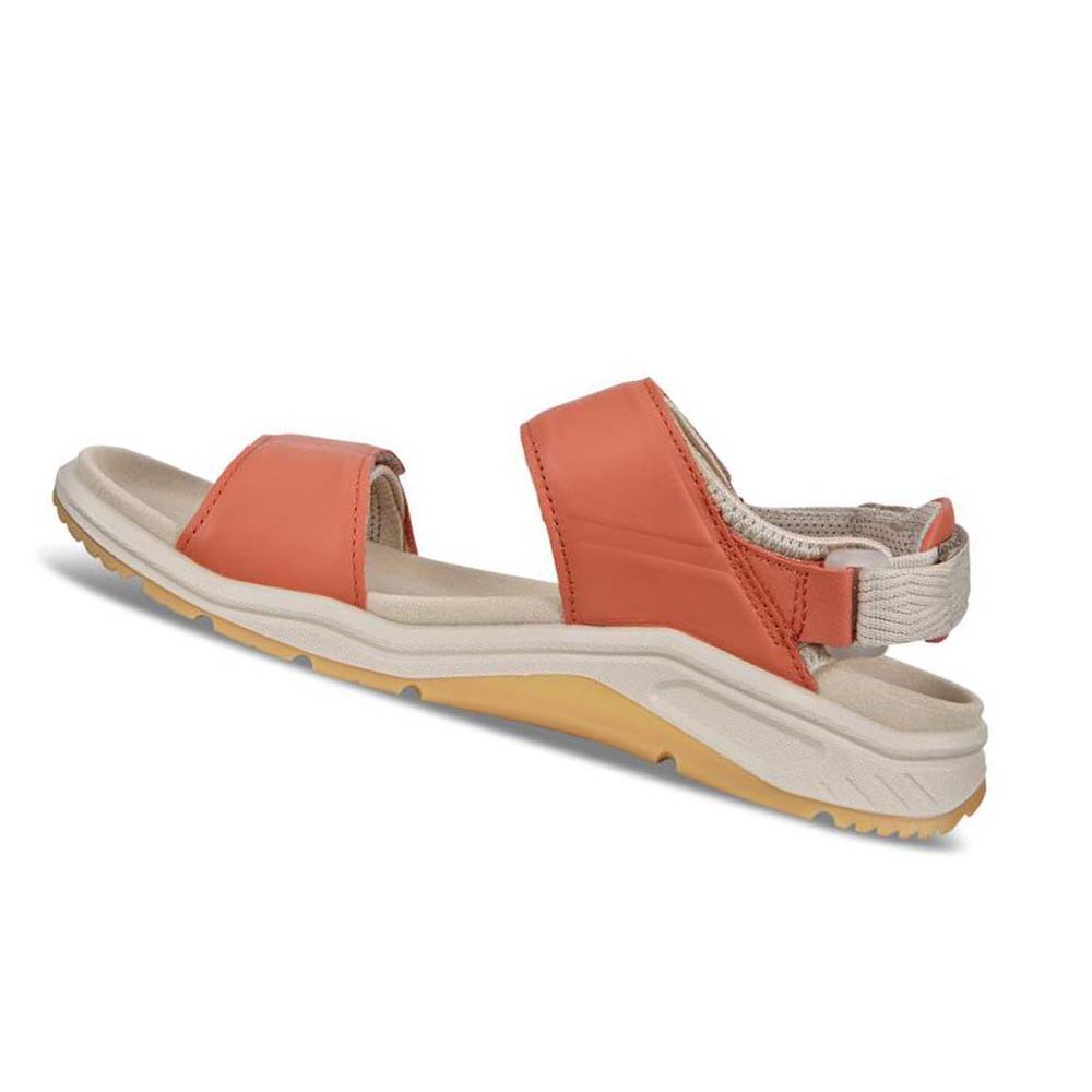 Women's Ecco X-trinsic Flat Sandals Oub11v7w2n | Canada 196NWY